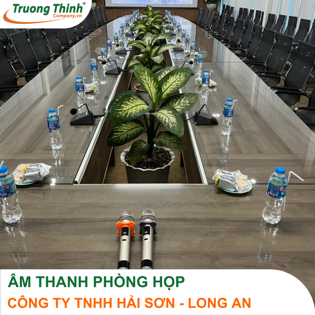 Am-Thanh-Phong-Hop-Cong-Ty-TNHH-Hai-Son