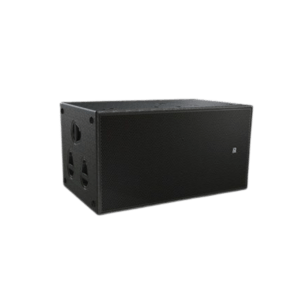 Loa Sub Passive P.Audio SP-218P